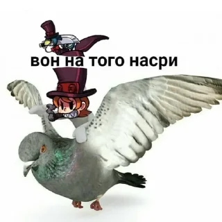 🦅 emoji Больше стиков тут: @stikery4 Telegram sticker 7 of 120