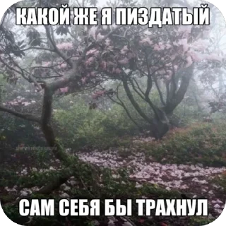 Sticker from щитпостинг от ятахи :: @yatashikai