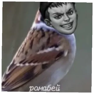 Sticker from Бухой Зайчик