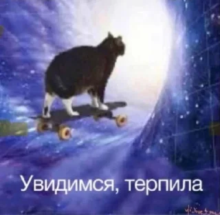 Sticker from memes