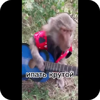 Sticker from Чел