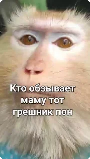 ☝️ emoji Стикеры: @sticktalkru Telegram sticker 23 of 50