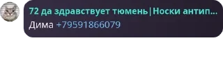 🦹 emoji Гейштаб (культ личности Бисмар pack by @QuotLyBot Telegram sticker 2 of 31