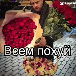🖕 emoji Похуй Telegram sticker 7 of 45