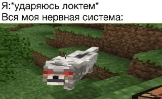 Sticker from Хуй