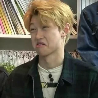 🌟 emoji 💗Stray Kids🐈 Telegram sticker 16 of 22