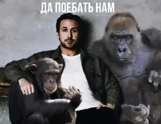 😡 emoji да поебать мне Telegram sticker 11 of 15