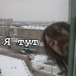 ✋ emoji Игорь Фёдорович @sozdat_stikery_bot Telegram sticker 16 of 120
