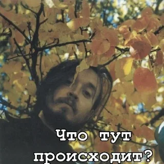 🤨 emoji Игорь Фёдорович @sozdat_stikery_bot Telegram sticker 17 of 120