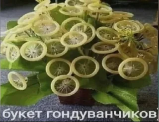 🌹 emoji TI-1-9 бомжары Telegram sticker 20 of 77