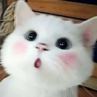 😳 emoji Я лизал жопу 💞 @nudhope Telegram sticker 7 of 54
