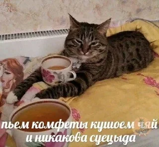 ☕️ emoji Я лизал жопу 💞 @nudhope Telegram sticker 18 of 54