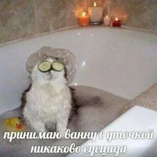 🐥 emoji Я лизал жопу 💞 @nudhope Telegram sticker 19 of 54