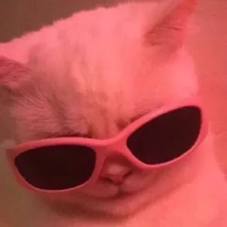 😎 emoji Я лизал жопу 💞 @nudhope Telegram sticker 12 of 54