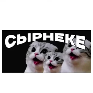 🌟 emoji чат фризикса и комару ❤️ Telegram sticker 16 of 29