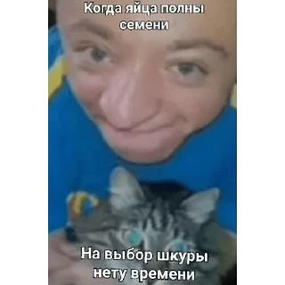 Sticker from Василий🥵🥵🥵