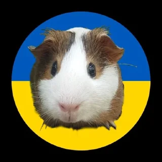 Sticker from Стікерпак великого Дімона І