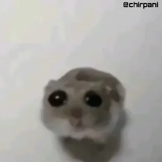 🥺 emoji Никому не нужные стикеры(t.me/LookingPost) Telegram sticker 18 of 77