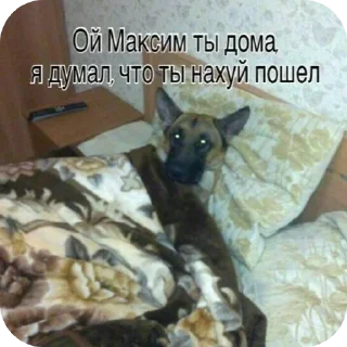 🐶 emoji Никому не нужные стикеры(t.me/LookingPost) Telegram sticker 21 of 77