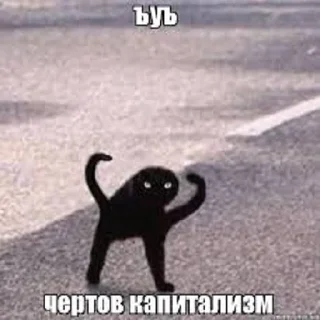 Sticker from приколы