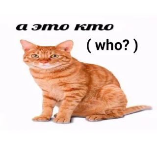 Sticker from Рыжий Кошак