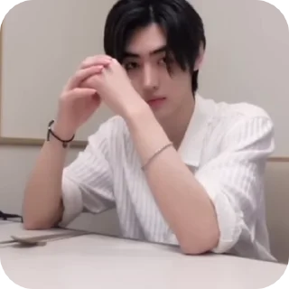 🌟 emoji Sunghoon @mum_yuqi00 @mieliexx Telegram sticker 6 of 24
