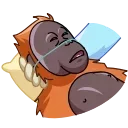 🦧 emoji Ислам1488эщкеристмедныйбычокпосхалкоиспанскийсапог ➡️ @Ctikerubo Telegram sticker 6 of 70