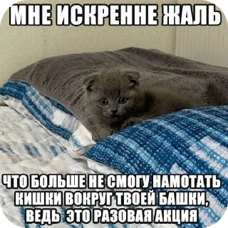 😿 emoji С новым годом! Telegram sticker 23 of 55