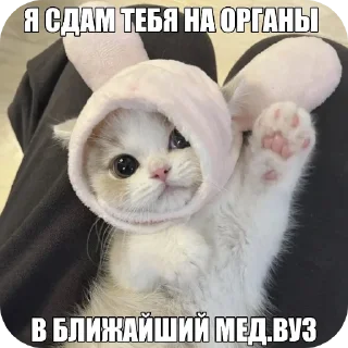🐱 emoji С новым годом! Telegram sticker 20 of 55