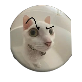 🐱 emoji С новым годом! Telegram sticker 9 of 55