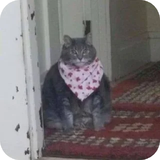 🐱 emoji С новым годом! Telegram sticker 8 of 55