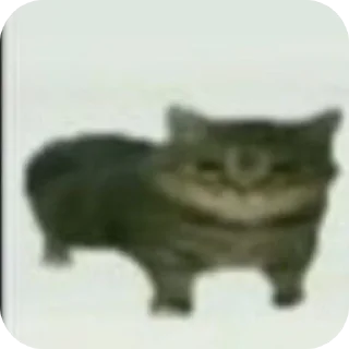 🐱 emoji С новым годом! Telegram sticker 17 of 55