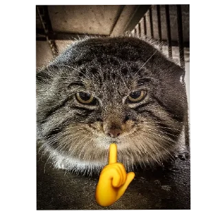 🤫 emoji С новым годом! Telegram sticker 7 of 55