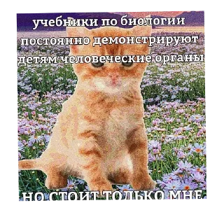 👗 emoji С новым годом! Telegram sticker 19 of 55