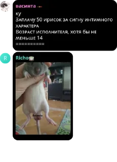 👩‍🦰 emoji #ne | ᴀᴠᴀᴄʜᴀᴛ | семейство авер pack by @QuotLyBot Telegram sticker 2 of 120
