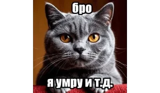 🌟 emoji Бро ты Telegram sticker 12 of 56