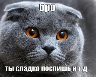🌟 emoji Бро ты Telegram sticker 14 of 56