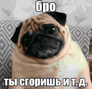 🌟 emoji Бро ты Telegram sticker 21 of 56