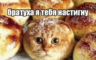 🌟 emoji Бро ты Telegram sticker 24 of 56