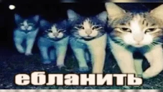 🌟 emoji Бро ты Telegram sticker 5 of 56