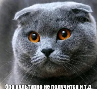 🌟 emoji Бро ты Telegram sticker 16 of 56