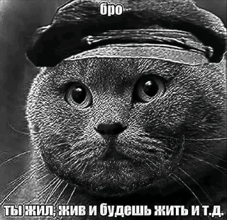 🌟 emoji Бро ты Telegram sticker 20 of 56