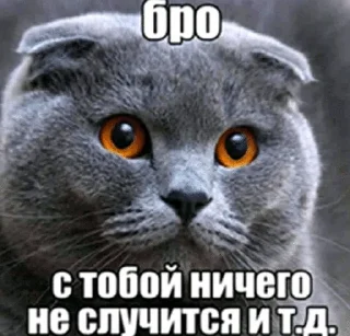 🌟 emoji Бро ты Telegram sticker 9 of 56