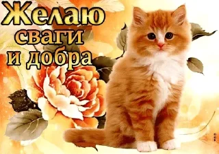 🌟 emoji Бро ты Telegram sticker 17 of 56