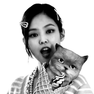 Sticker from JENNIE—@FELIXQKK
