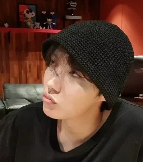 Sticker from Hobi home