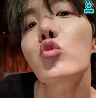 Sticker from Hobi home