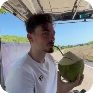 🥥 emoji БраЁн Telegram sticker 15 of 48