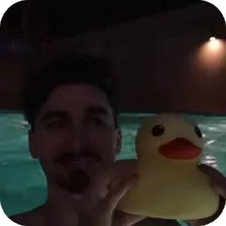 🐥 emoji БраЁн Telegram sticker 19 of 48