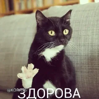 🌟 emoji Гречка мартини :: @gptVPNrbot Telegram sticker 8 of 68